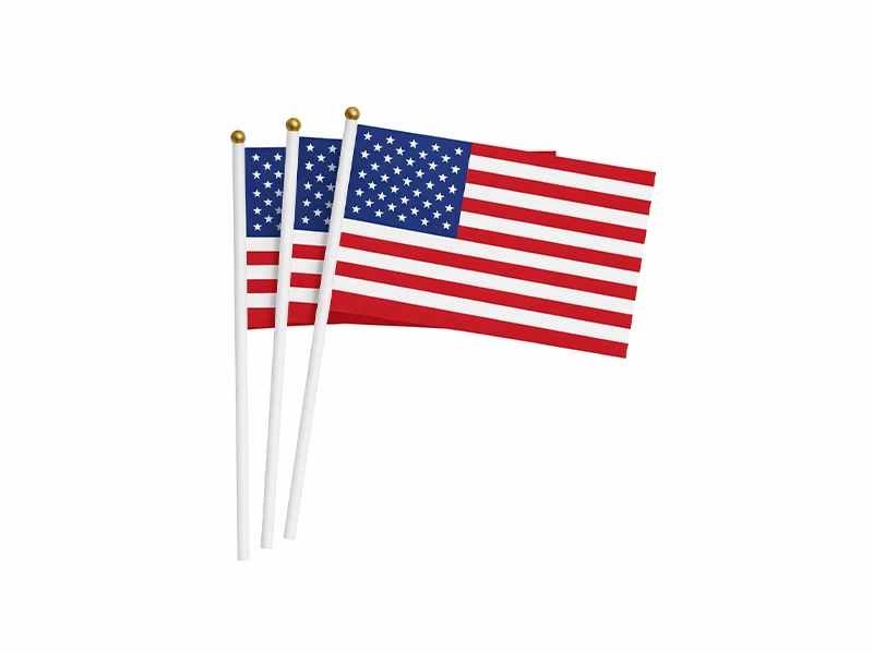 Hand Flag
