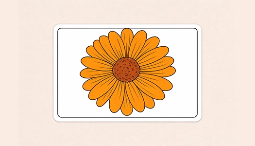 Rectangle Shape