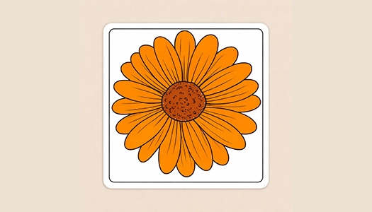 Square Shape