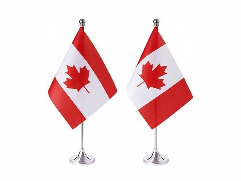 Handheld Flag image 4