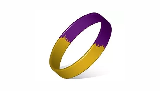 2 color segment